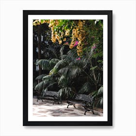 Alicante Green Park Art Print