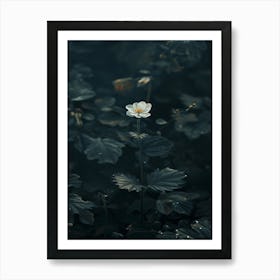 Lily Of The Valley 30 Art Print