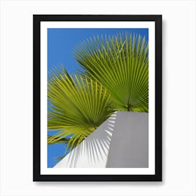 Green palm leaves and blue sky Art Print