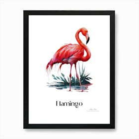 Flamingo. Long, thin legs. Pink or bright red color. Black feathers on the tips of its wings.15 Art Print