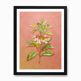 Vintage Chinese New Year Flower Botanical Art on Peach Pink n.0096 Art Print