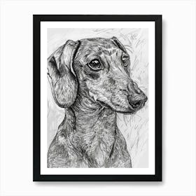 Dachshund Dog Line Sketch 2 Art Print