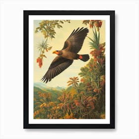 California Condor Haeckel Style Vintage Illustration Bird Art Print