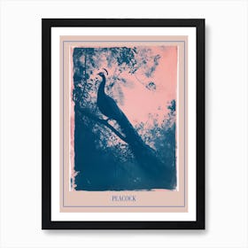 Pink & Blue Peacock Cyanotype Style 6 Poster Art Print