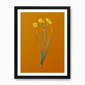 Vintage Rush Daffodil Botanical on Sunset Orange n.0438 Art Print