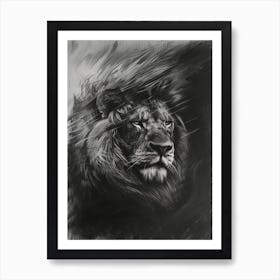 Barbary Lion Charcoal Drawing Facing A Storm 2 Art Print