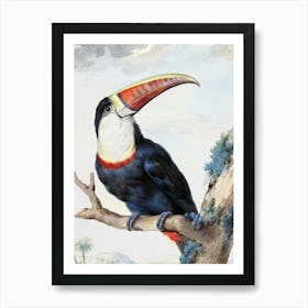 Illustrated Vintage Bird Art Print_2835697 Art Print