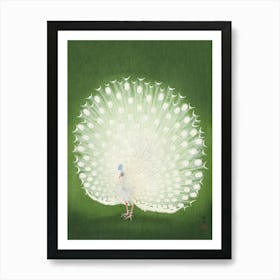 White Peacock, Vintage Asian Art Print