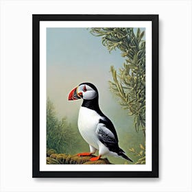 Puffin Haeckel Style Vintage Illustration Bird Art Print