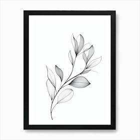 Black And White Drawing Of Leaves 1 Art Print