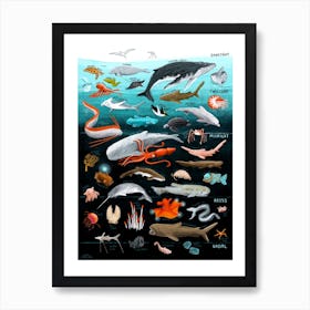 Ocean Zones Art Print