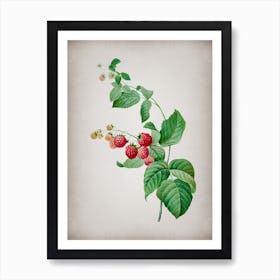 Vintage Red Berries Botanical on Parchment n.0208 Art Print