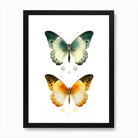 Butterfly On White Background Art Print