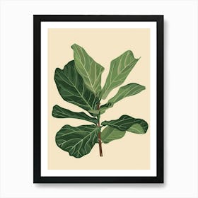 Fiddle Leaf Fig Plant Minimalist Illustration 8 Art Print