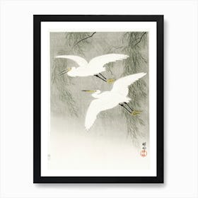 Little Egrets In Flight (1925 1936), Ohara Koson Art Print