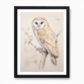 Vintage Bird Drawing Barn Owl 3 Art Print