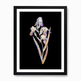Stained Glass Elder Scented Iris Mosaic Botanical Illustration on Black n.0186 Art Print