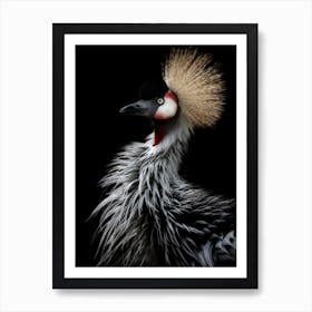 Crowned Cranes Portrait Art Print