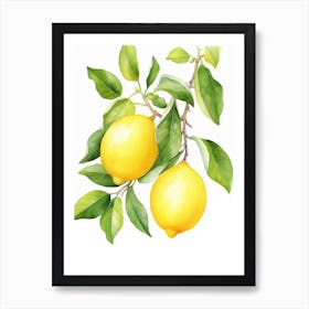 Lemons On A Branch Art Print