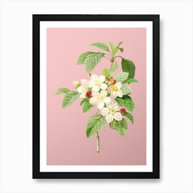 Vintage Apple Blossom Botanical on Soft Pink n.0213 Art Print