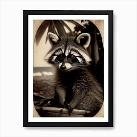 Tropical Raccoon Vintage Photography Art Print