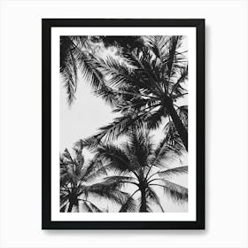 Black And White Palm Trees Art Print