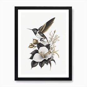 Berylline Hummingbird Vintage Gold & Black Art Print