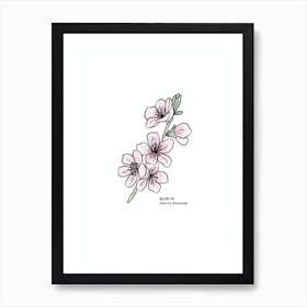 March Cherry Blossom Birth Flower Art Print