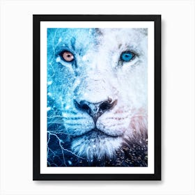 White Lion Blue And Orange Eyes Art Print