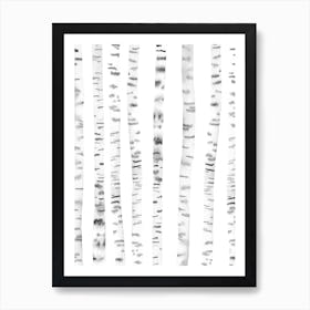 Birch Trees Art Print