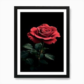 Red Rose On Black Background 41 Art Print