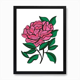 Pink Peony Contemporary Botanical Illustration Art Print