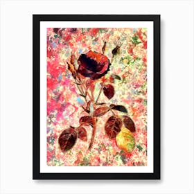 Impressionist Double Moss Rose Botanical Painting in Blush Pink and Gold Art Print