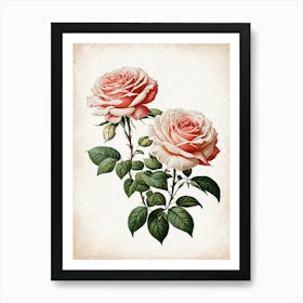 Vintage Galleria Style Rose Art Painting 8 Art Print