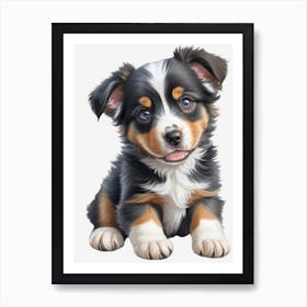 Australian Shepherd Puppy Art Print