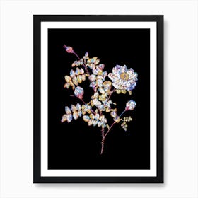Stained Glass White Burnet Roses Mosaic Botanical Illustration on Black Art Print