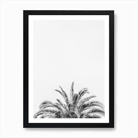 Palm Tree Leaves Art Print