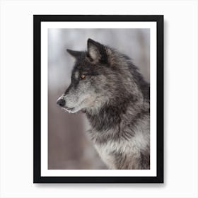 Black Wolf Profile Art Print