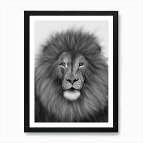 Black & White Lion Portrait Art Print