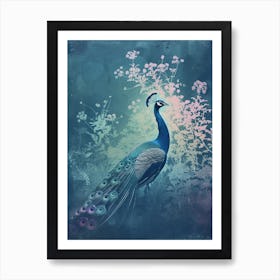 Turquoise Vintage Peacock With White Wild Flowers Art Print