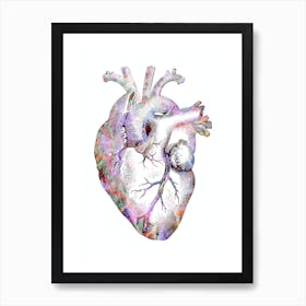 Heart Anatomy Colorful Vintage Black And White 1 Art Print