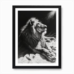 African Lion Charcoal Drawing Resting In The Sun 2 Art Print