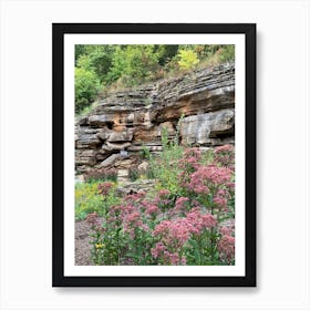 Rock Garden Art Print