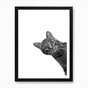 Funny Cat 1 Art Print