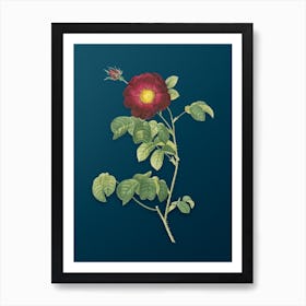 Vintage Rose Botanical Art on Teal Blue n.0620 Art Print