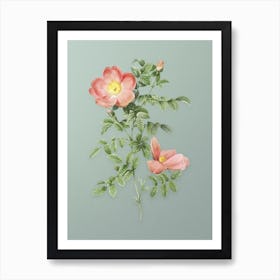 Vintage Red Sweetbriar Rose Botanical Art on Mint Green n.0668 Art Print