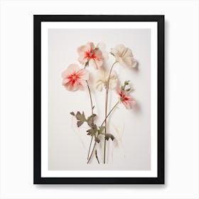 Pressed Flower Botanical Art Geranium 2 Art Print