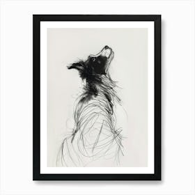 Border Collie Dog Charcoal Line 2 Art Print