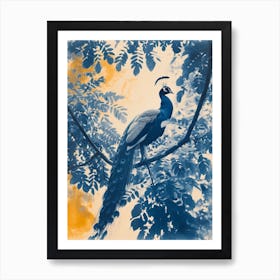 Orange & Blue Peacock In The Trees 2 Art Print