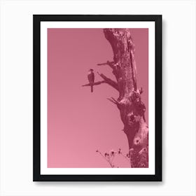 Dusty Pink Falcon Art Print